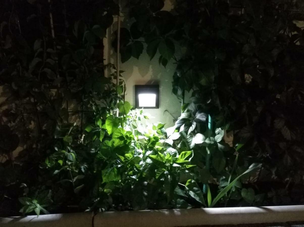 Apartment Pejic,makarska,veliko Brdo *